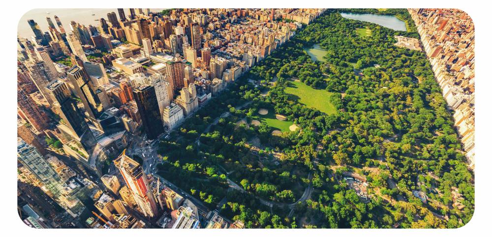 usa central park HD центральный парк